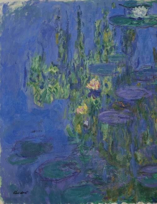 Water Lilies