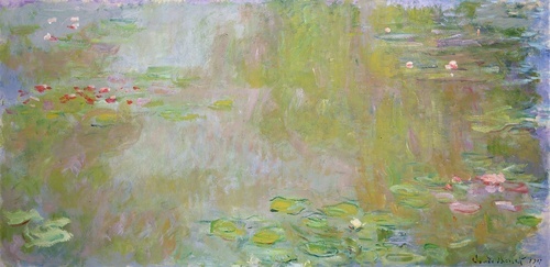 Water Lily Pond