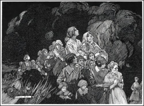 Book Illustrations