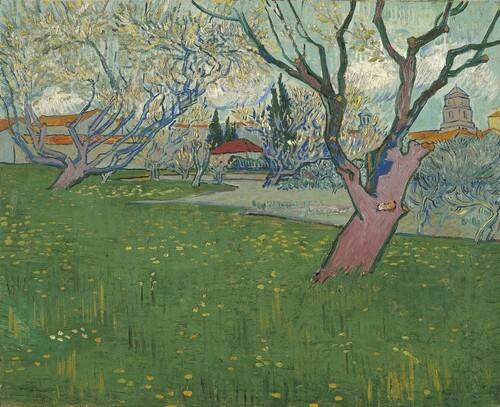 Orchards in blossom, view of Arles