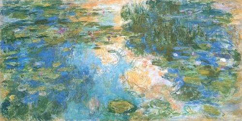 Water Lily Pond