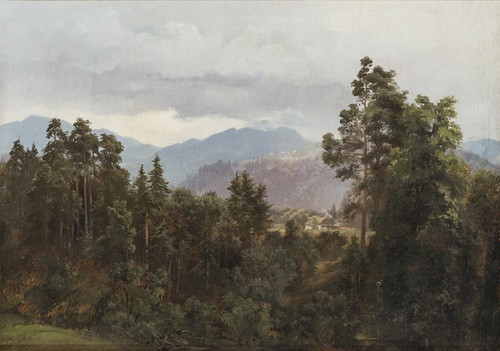 Tree-covered mountain landscape