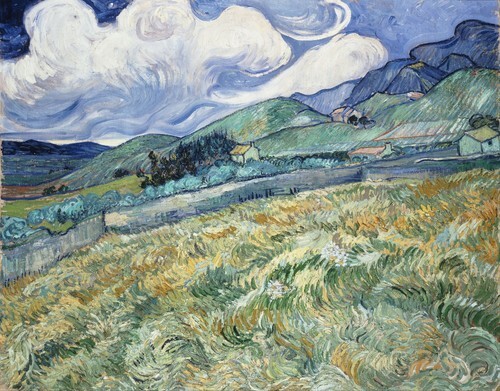 Paisaje de Saint-Rémy