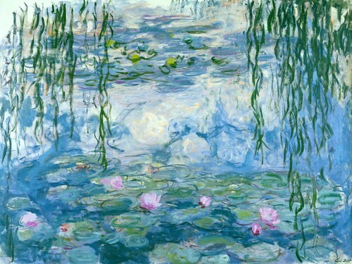 Water Lilies