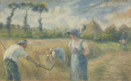 The Harvest