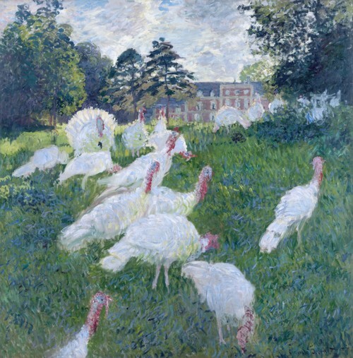 The Turkeys