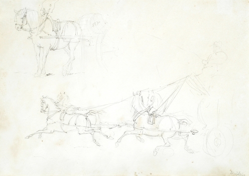 A collection of early drawings