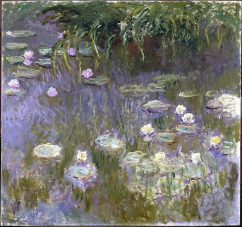 Water Lilies