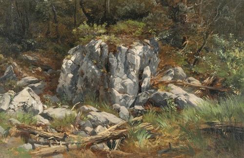 Rocks in the undergrowth