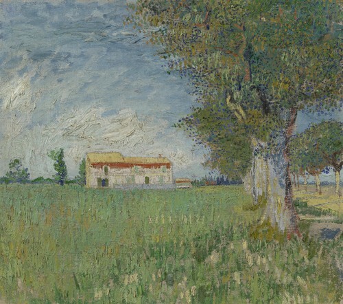 Farmhouse in a wheat field