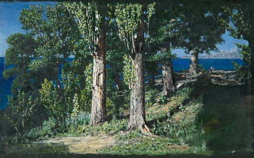 Cypress Trees by the Sea
