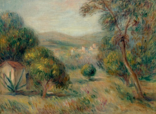 Paysage aux oliviers