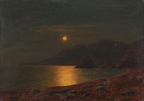 Moonlit Night