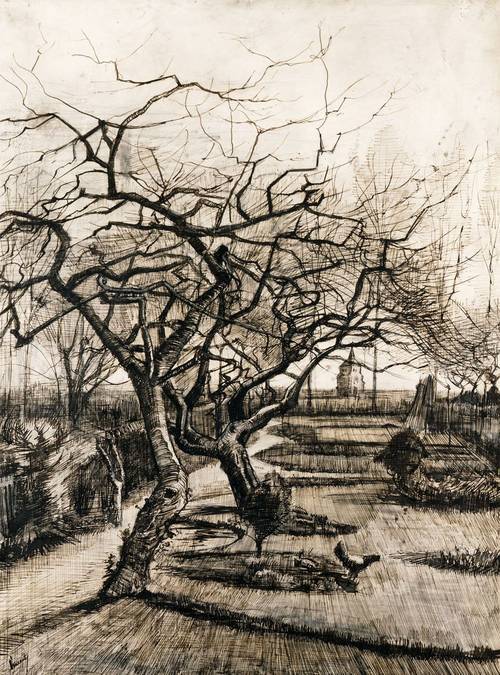 The Parsonage Garden at Nuenen in Winter 1884