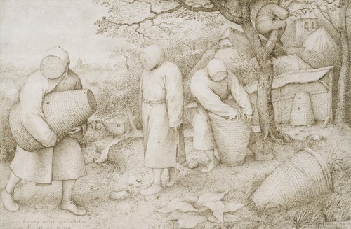 The Beekeepers and the Birdnester