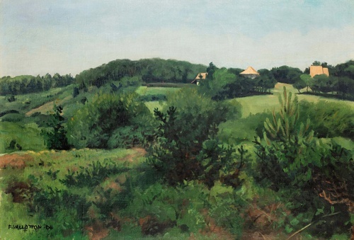 Summer Morning