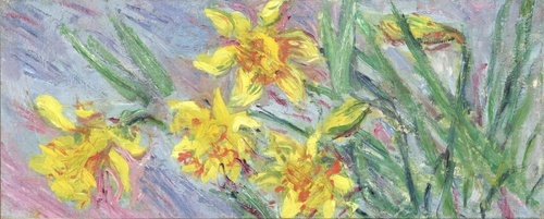 Daffodils