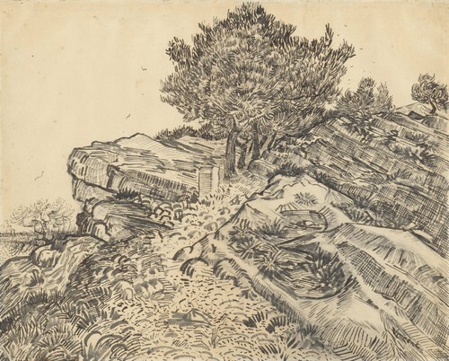 Rock-hill with trees Montmajour