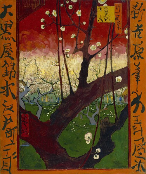 开花的梅树