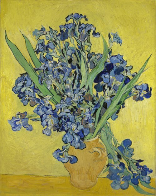 Irisy