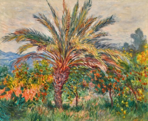 Palm Tree in Bordighera