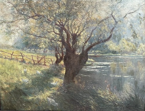 Spring on the banks of the Lys