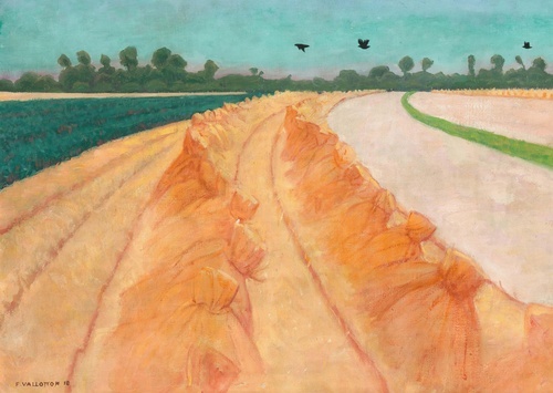Wheat Field, Sunset