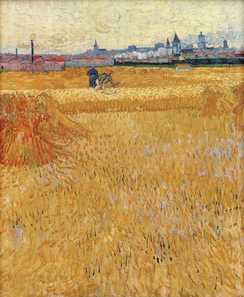 View from the Wheat Fields