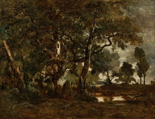 Forest of Fontainebleau