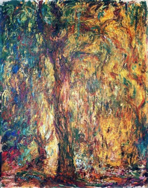 Weeping Willow