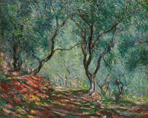 Olive Grove in the Moreno Garden