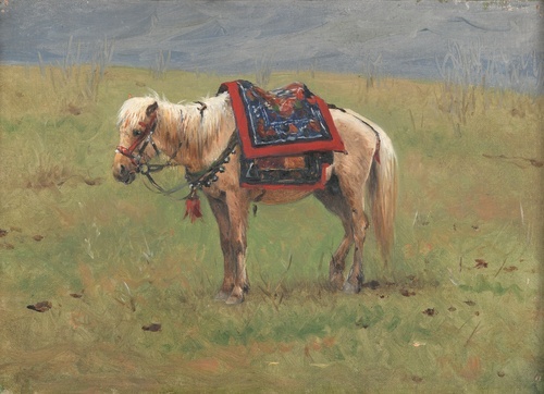 Himalayan Ponies