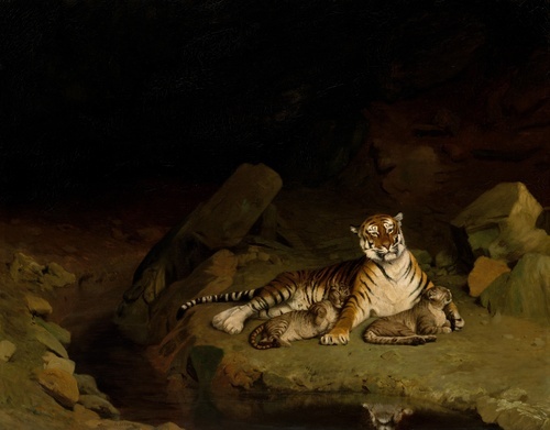 Tiger and Cubs