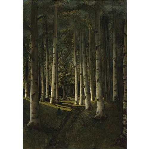 Bjørkeskogen