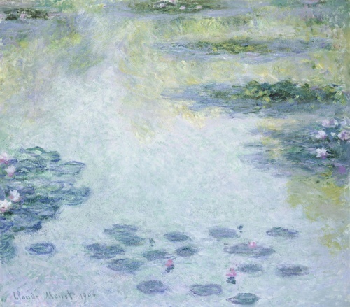 Water Lilies