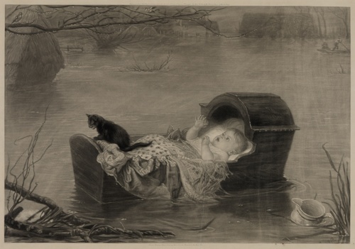 A flood