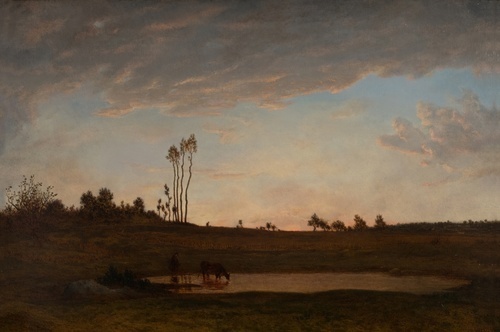 Senja