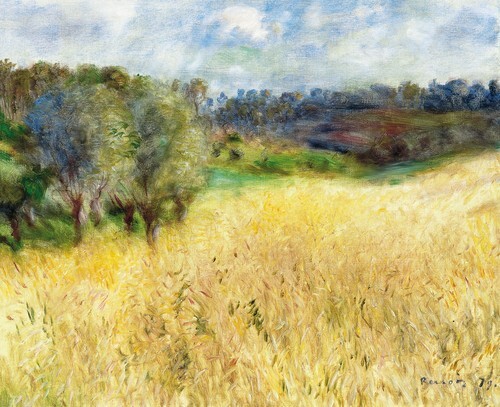 Field of Wheat