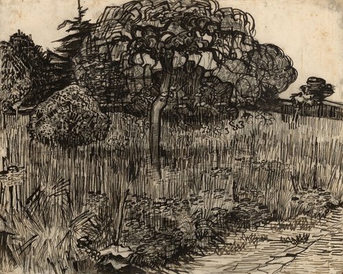 Huilende Boom