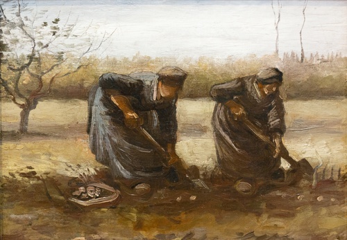 Two Women Harvesting Potatoes