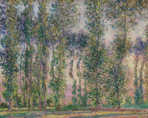 Pohon Poplar di Giverny