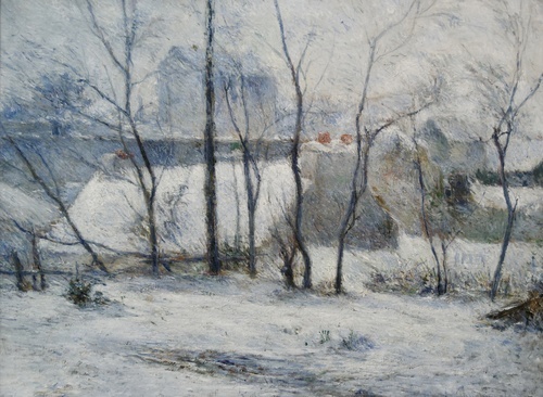 Garden Under Snow