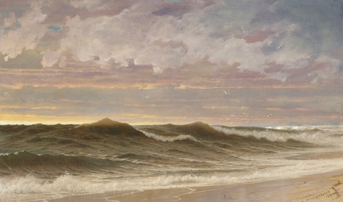 Sunlit Coast