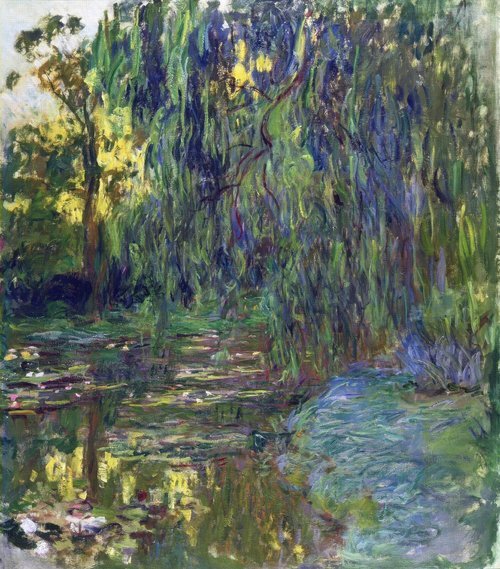 Weeping Willow and Water-Lily Pond
