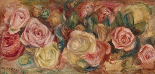 Růže 1912