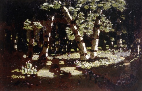 Birch Grove