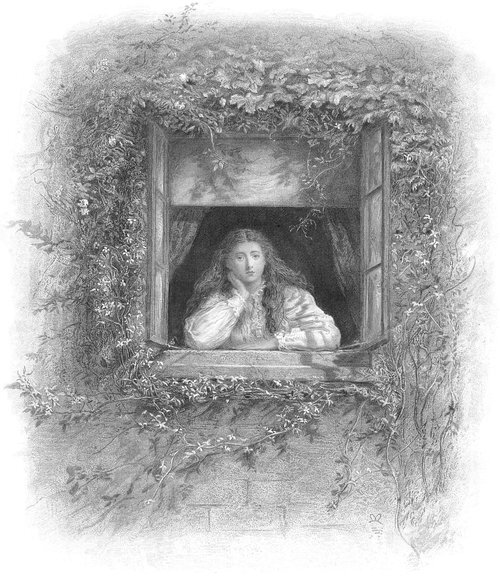 A Reverie