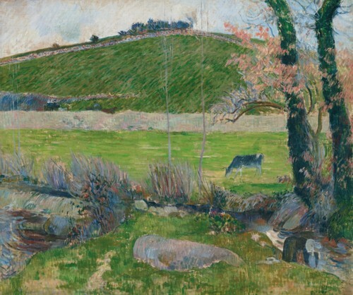 A Meadow on the Banks of the Aven