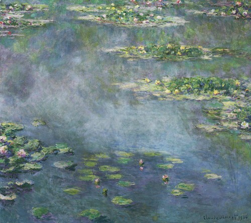 Water Lilies