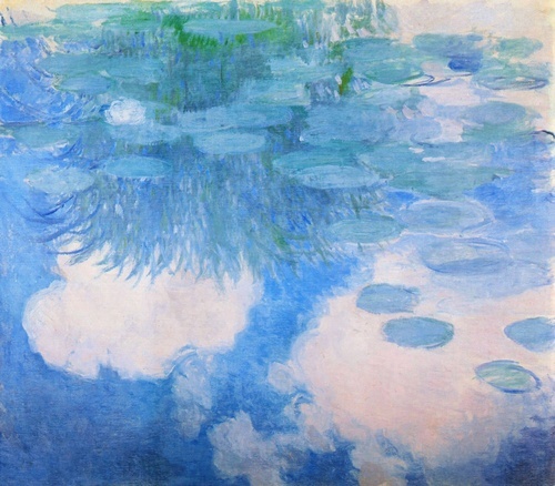Water Lilies